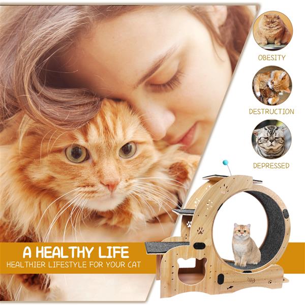 KFX-0066237 Indoor Cat Exercise Wheel - 6-in-1 Sports Device for Active Cats, Heavy-Duty Wood Design, Smooth Silent Operation, Safe for Pets