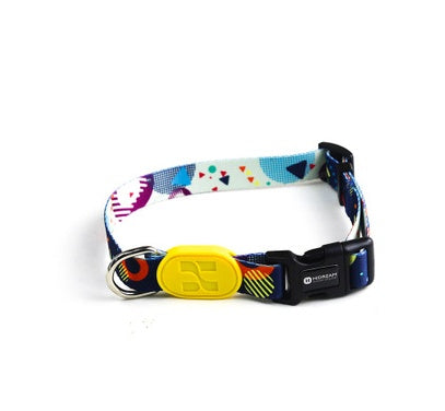 KFX-0068541 Colorful Adjustable Dog Collar for Small, Medium, and Large Dogs - Durable Design with Varying Widths