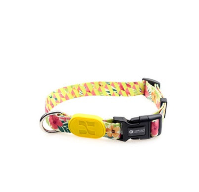 KFX-0068541 Colorful Adjustable Dog Collar for Small, Medium, and Large Dogs - Durable Design with Varying Widths