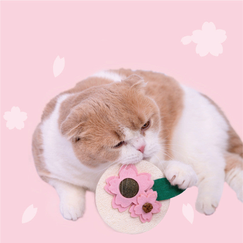 KFX-0069181 Sakura Fruit Cat Teething Stick Toy for Kittens - Natural Loofah & Catnip