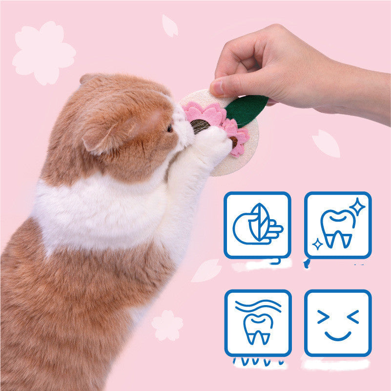 KFX-0069181 Sakura Fruit Cat Teething Stick Toy for Kittens - Natural Loofah & Catnip