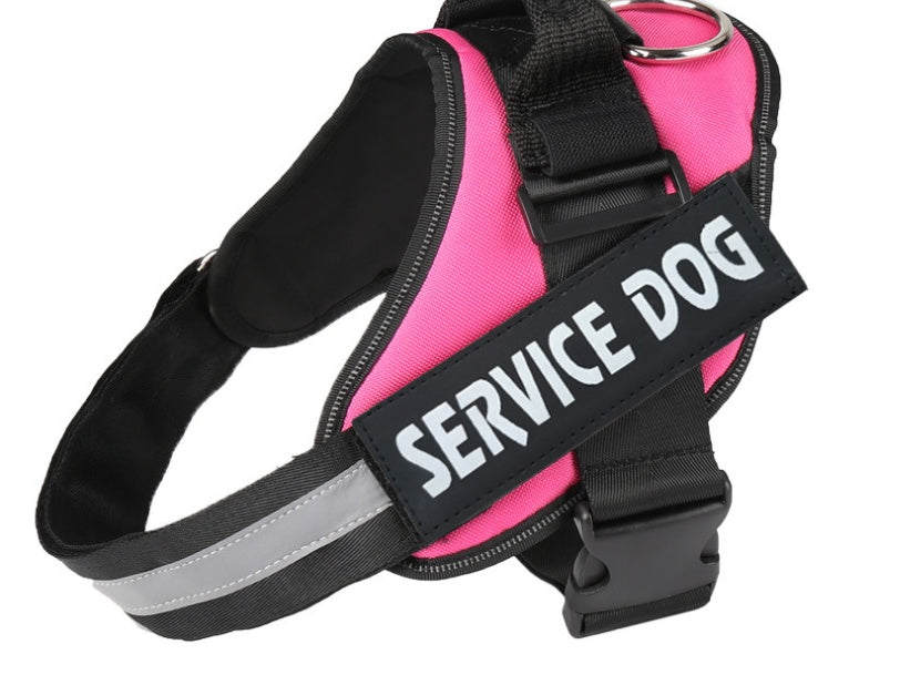 KFX-0072381 Durable Velcro Dog Name Sticker - Reusable & Washable, Multiple Sizes Available