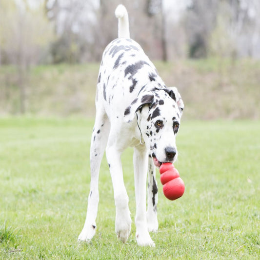 KFX-0077117 Durable Rubber Dog Toy - Gourd Shape, Food Leakage Design, Multiple Sizes Available