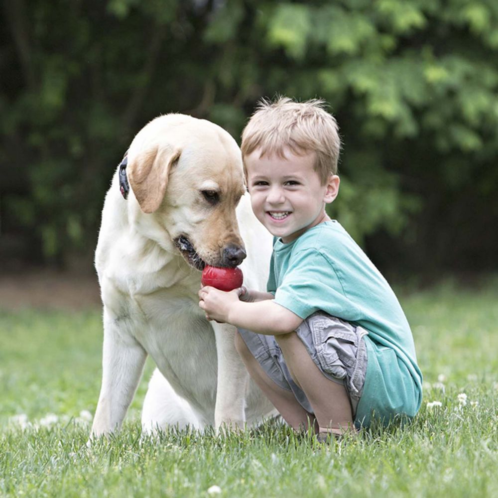 KFX-0077117 Durable Rubber Dog Toy - Gourd Shape, Food Leakage Design, Multiple Sizes Available