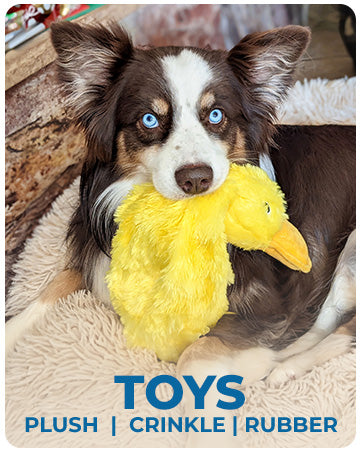 KFX-0079549 Squeaky Plush Duck Dog Toy for All Breeds - No Stuffing, Soft, Fun for Indoor Play