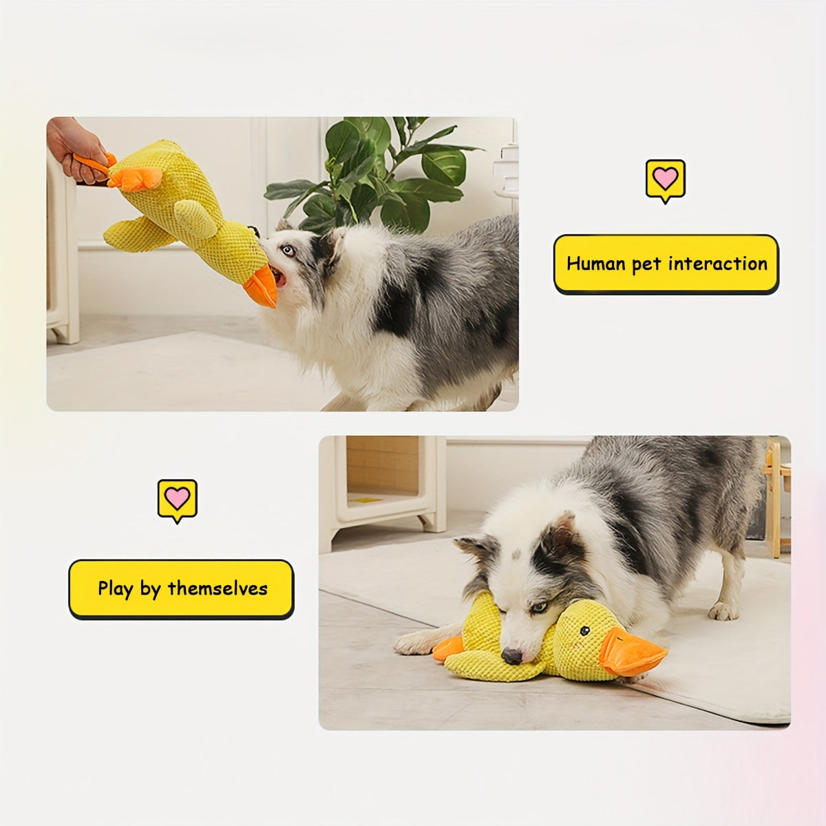 KFX-0079549 Squeaky Plush Duck Dog Toy for All Breeds - No Stuffing, Soft, Fun for Indoor Play