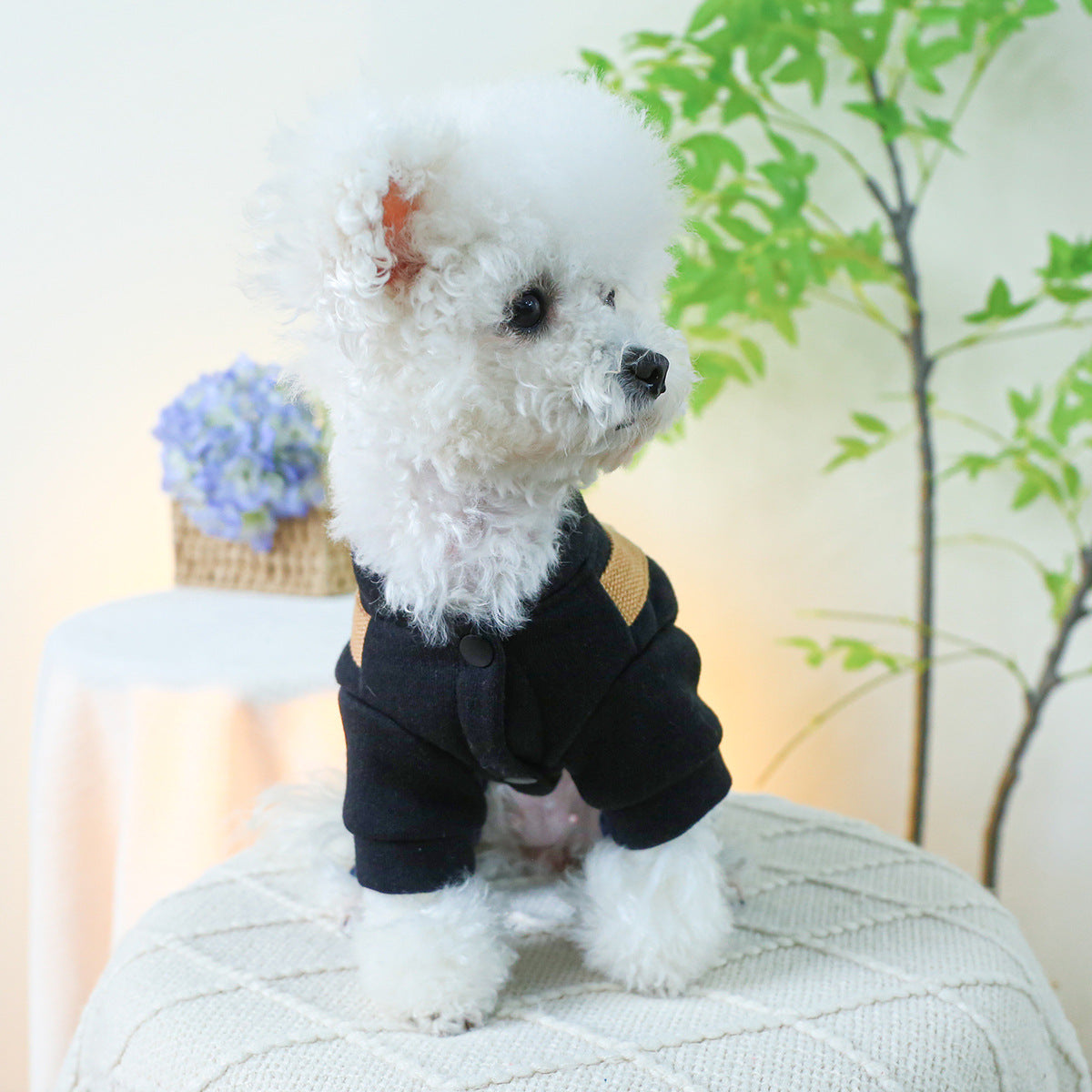 KFX-0086589 Punk Style Suspender Pants for Small and Medium Dogs with Traction Rope Buckle
