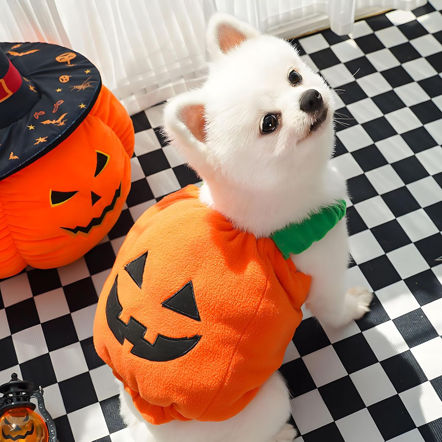 KFX-0089277 Plush Pumpkin Halloween Costume for Small to Medium Dogs and Cats