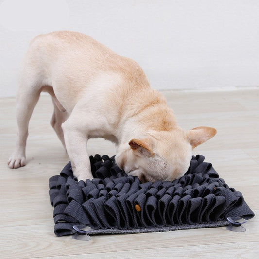 KFX-0089661 Cotton Pet Sniffing Blanket in Multiple Colors for Enrichment Play