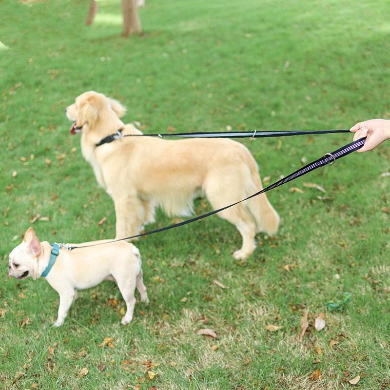 KFX-0103101 Flexible Nylon Dog Leash – Versatile Traction Rope for Safe Walks