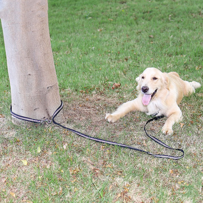KFX-0103101 Flexible Nylon Dog Leash – Versatile Traction Rope for Safe Walks