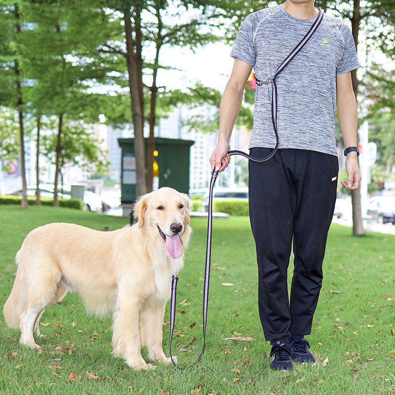 KFX-0103101 Flexible Nylon Dog Leash – Versatile Traction Rope for Safe Walks