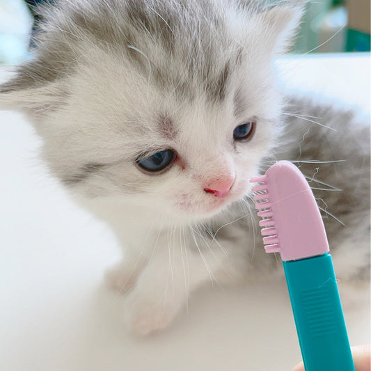 KFX-0104893 Cat Eye Brush for Grooming, Available in Blue and Pink, Ideal for Weddings, Holidays and Gift Giving