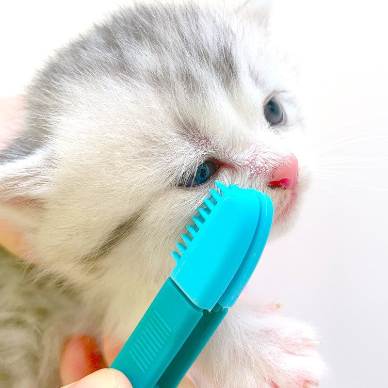 KFX-0104893 Cat Eye Brush for Grooming, Available in Blue and Pink, Ideal for Weddings, Holidays and Gift Giving