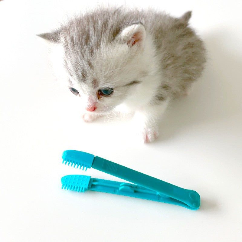 KFX-0104893 Cat Eye Brush for Grooming, Available in Blue and Pink, Ideal for Weddings, Holidays and Gift Giving
