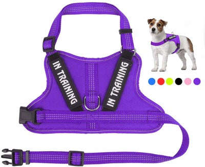 KFX-0105149 Personalized Pet Harness for Optimal Comfort and Control