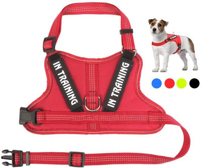 KFX-0105149 Personalized Pet Harness for Optimal Comfort and Control