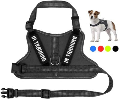 KFX-0105149 Personalized Pet Harness for Optimal Comfort and Control