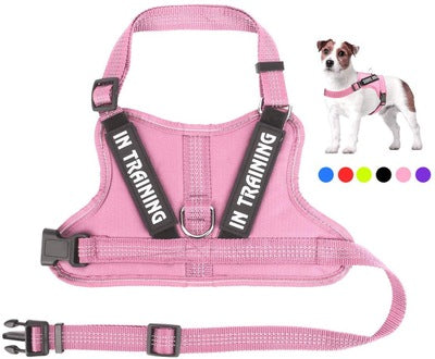 KFX-0105149 Personalized Pet Harness for Optimal Comfort and Control