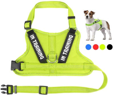 KFX-0105149 Personalized Pet Harness for Optimal Comfort and Control