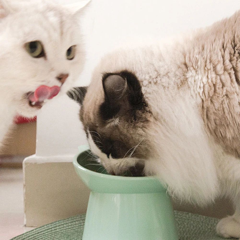 KFX-0105277 Elevated Anti Vomiting Cat Bowl with Non-Slip Base for Comfortable Feeding