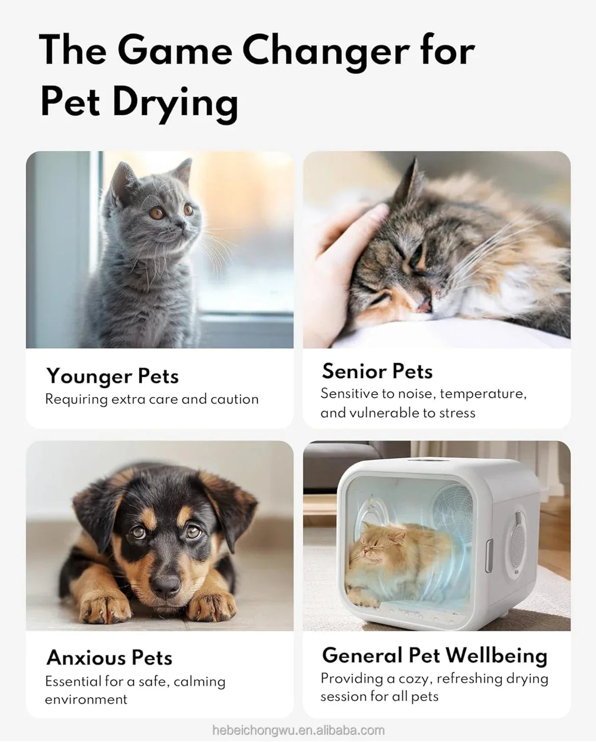 KFX-011411 Pet Hair Dryer Box for Cats and Dogs - 2000W Low Noise ABS Material, Efficient Indoor Drying