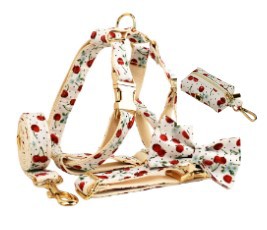 KFX-0116285 Red Cherry Pet Collar and Leash Set with Cute Bow and Gold Release Buckle, Five-Piece Accessory Kit
