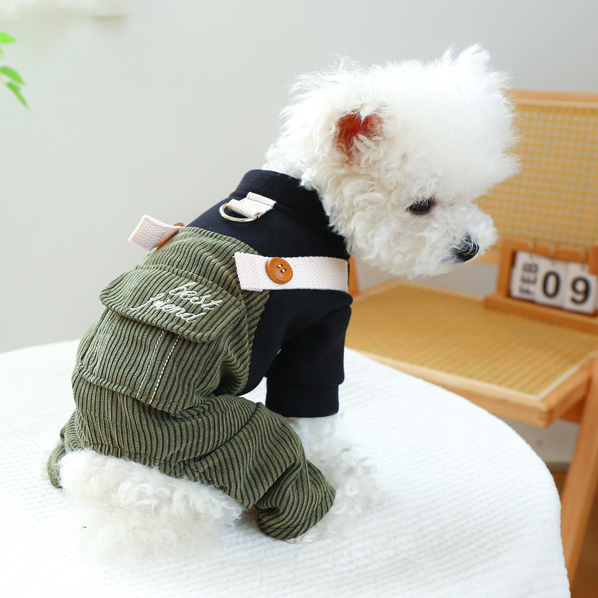 KFX-0119229 Corduroy Pet Clothes for Dogs and Cats - XS to XL Sizes Available, Comfortable Polyester Fabric