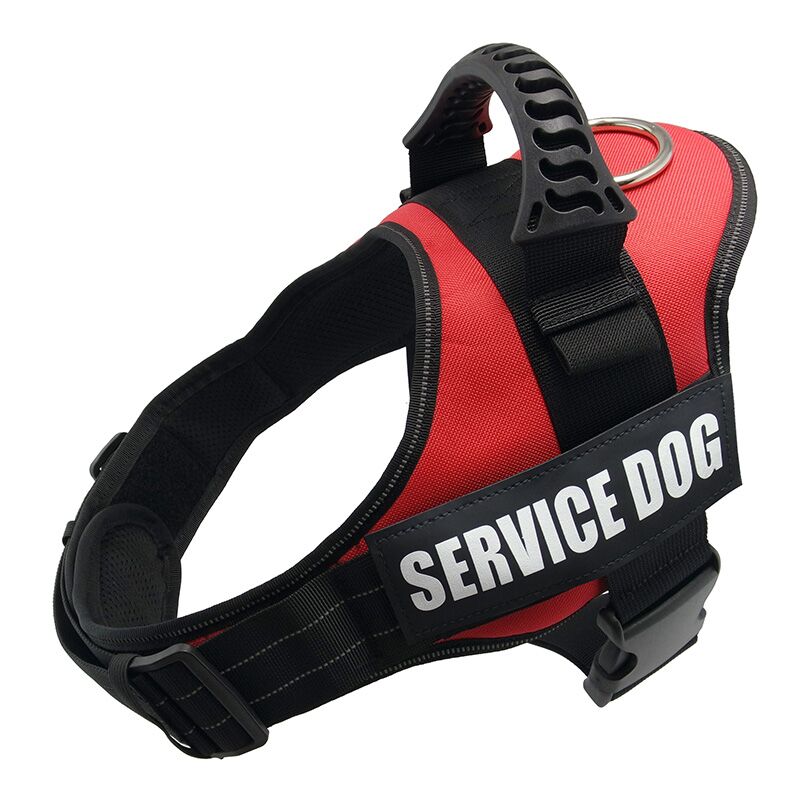 KFX-0119869 Explosion-Proof Traction Belt - Durable 100% Nylon, Soft Webbing, Strong Wear Resistance