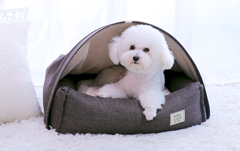 KFX-0120637 Cozy Pet Bed with Dimensions S: 60*50*17 cm, M: 75*60*19 cm
