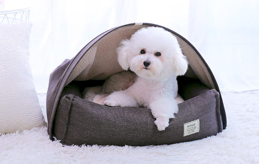 KFX-0120637 Cozy Pet Bed with Dimensions S: 60*50*17 cm, M: 75*60*19 cm