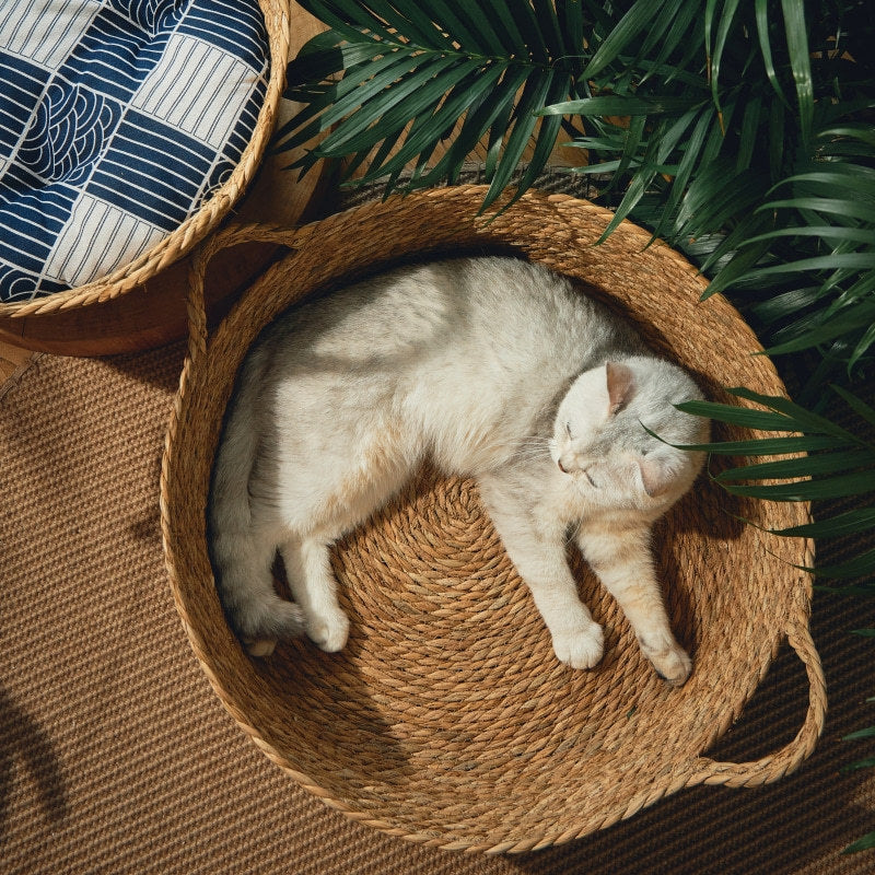KFX-0120765 Cattail Cat Litter Mat with Rattan Frame and Sleeping Pad - Fashionable Weaving Design