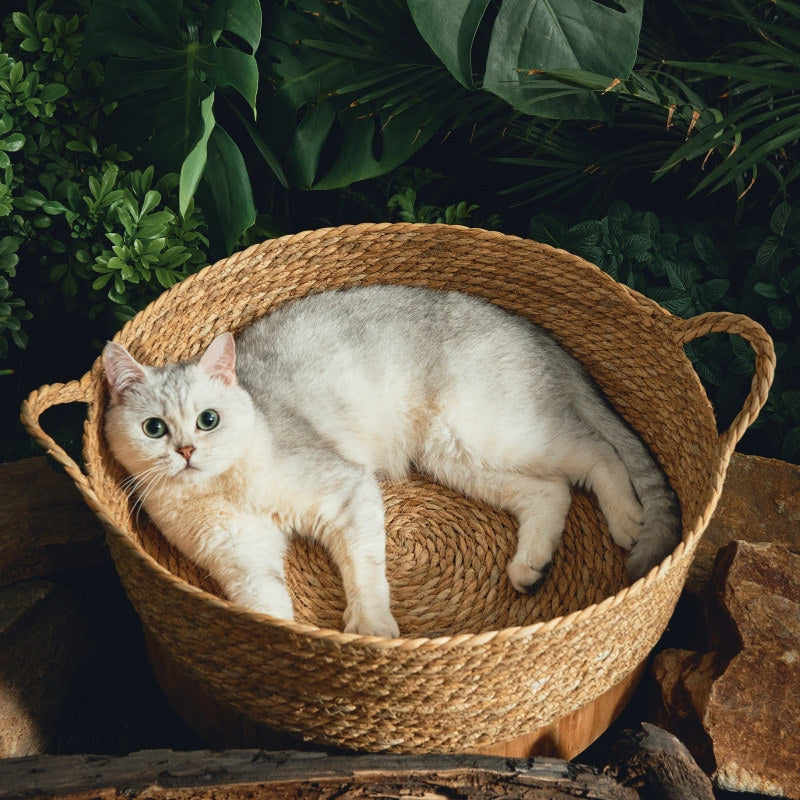 KFX-0120765 Cattail Cat Litter Mat with Rattan Frame and Sleeping Pad - Fashionable Weaving Design