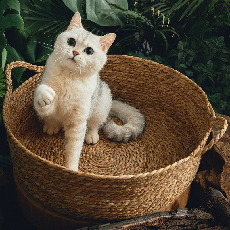 KFX-0120765 Cattail Cat Litter Mat with Rattan Frame and Sleeping Pad - Fashionable Weaving Design