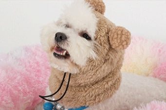 KFX-0125373 Adjustable Winter Pet Hat with Plush Fur Ball - Double-Sided Cotton Velvet, Available in Purple and Dark Khaki