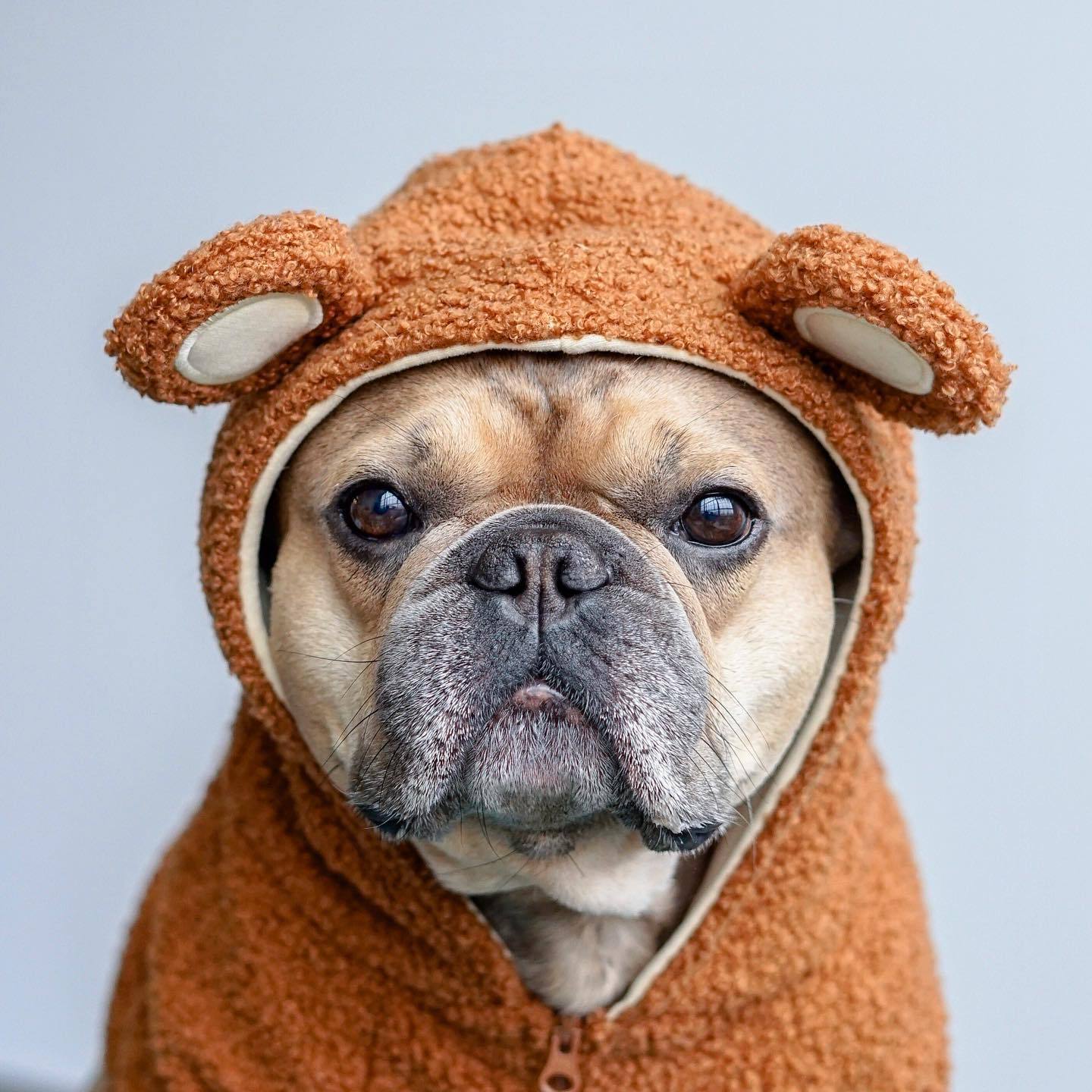 KFX-0125629 Fleece-Lined Warm Sweater for Dogs with Ear Details in Brown and Pink Options