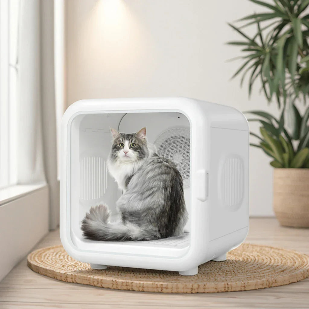 KFX-012563 Eco-Friendly Ultra-Quiet Smart Hair Drying Box for Dogs and Cats with Temperature Control
