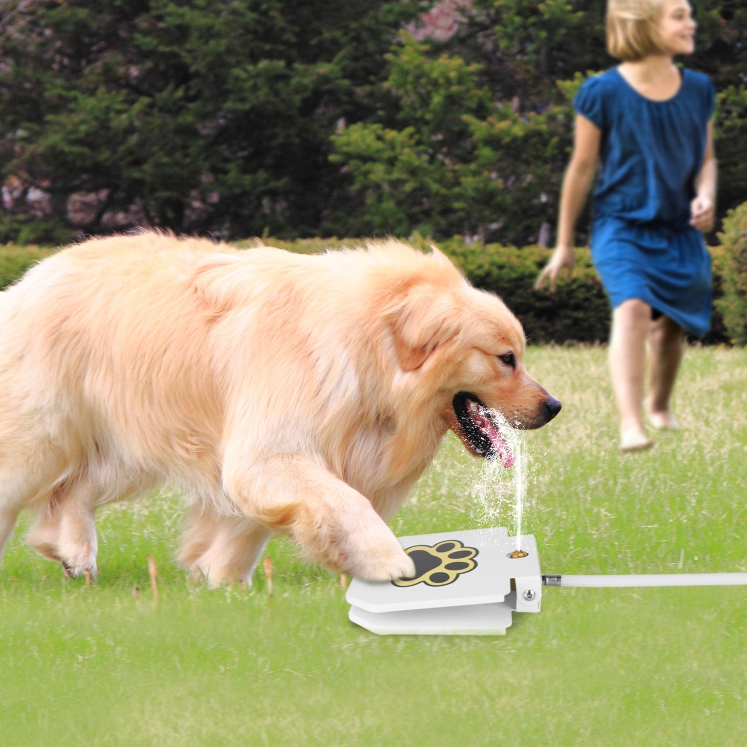 KFX-0126397 Step-On Activated Outdoor Dog Water Fountain with Interactive Paw Pedal Valve