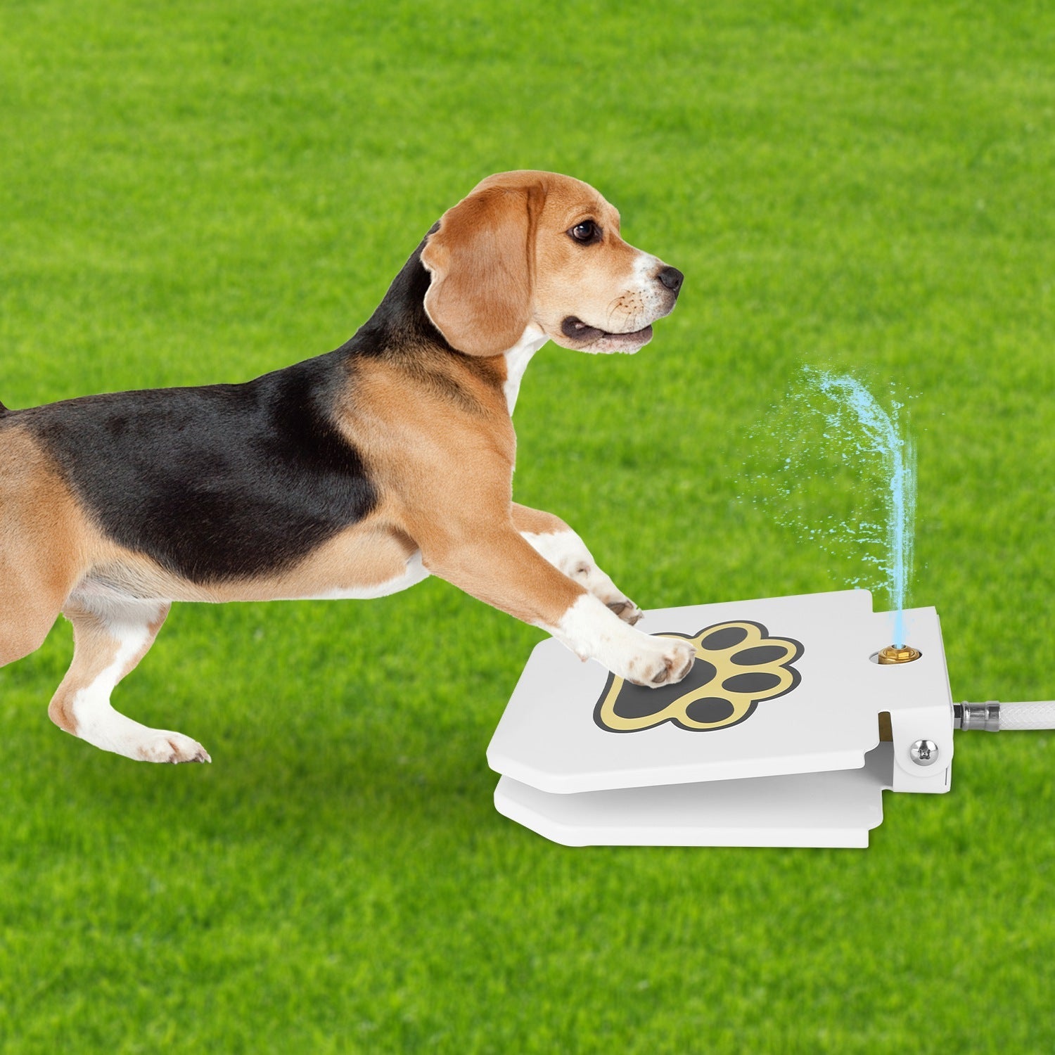 KFX-0126397 Step-On Activated Outdoor Dog Water Fountain with Interactive Paw Pedal Valve