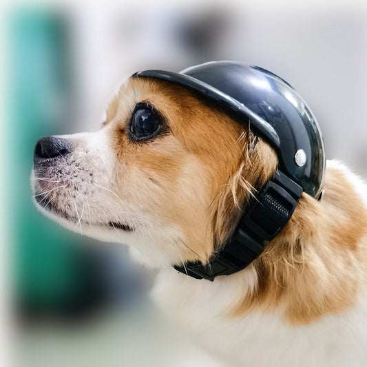 KFX-0127165 Adjustable Pet Helmet for Dogs and Cats - Protective Motorcycle Accessory, Black