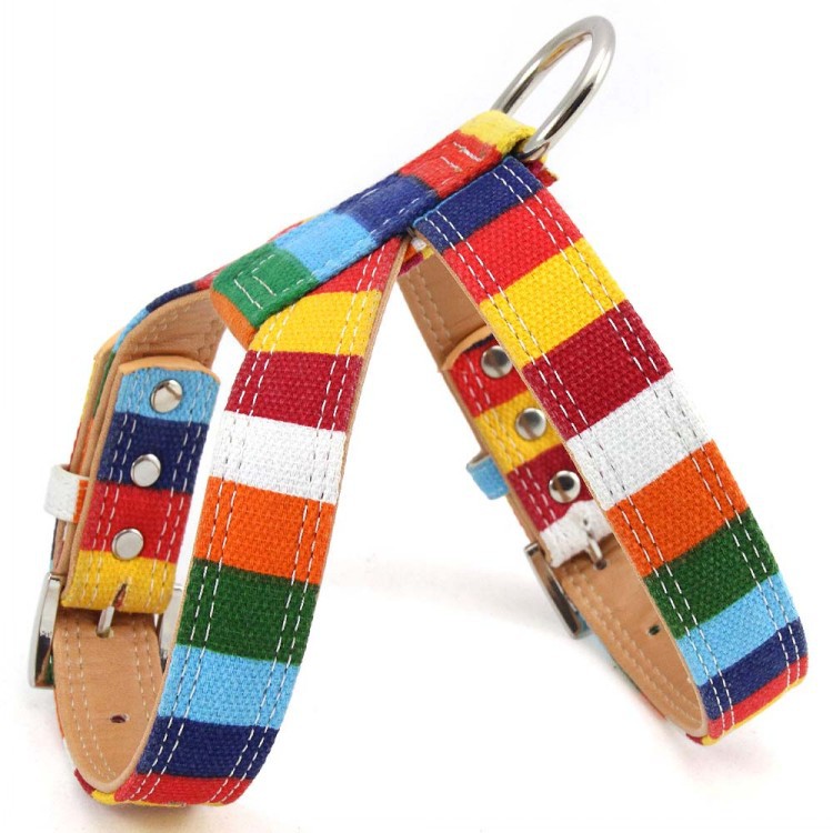 KFX-0130109 Colorful Canvas Pet Collar with Hand-Holding Rope and Chest Strap for All Occasions