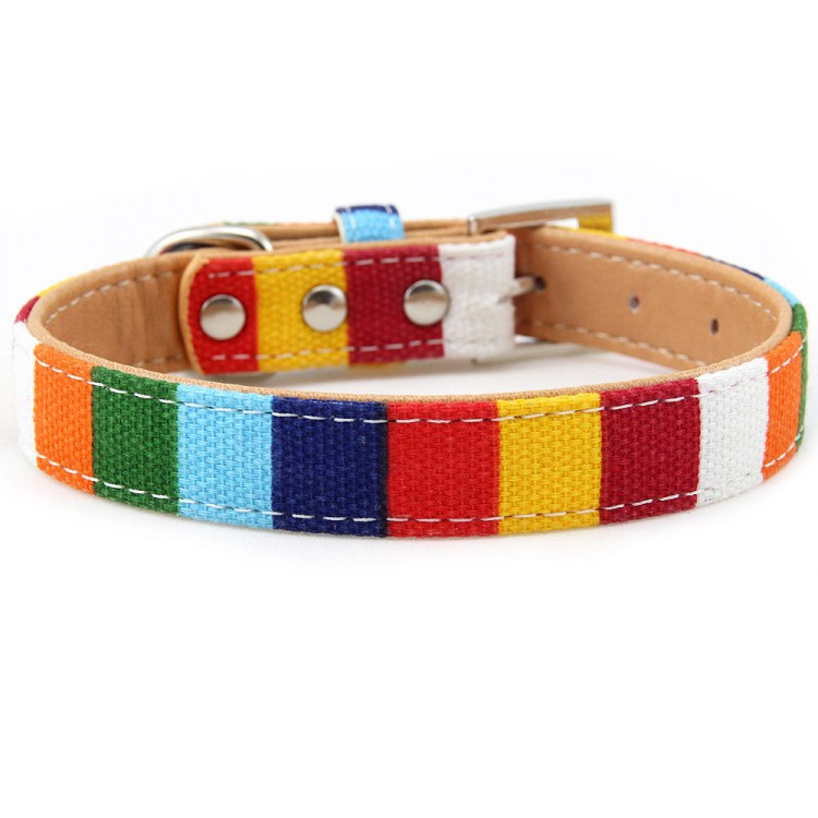 KFX-0130109 Colorful Canvas Pet Collar with Hand-Holding Rope and Chest Strap for All Occasions