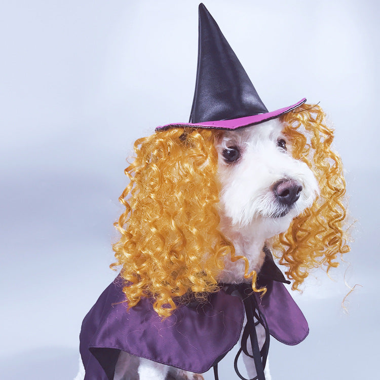 KFX-0132669 Purple Cloak and Hat Pet Costume for Dogs - Halloween Witch Outfit
