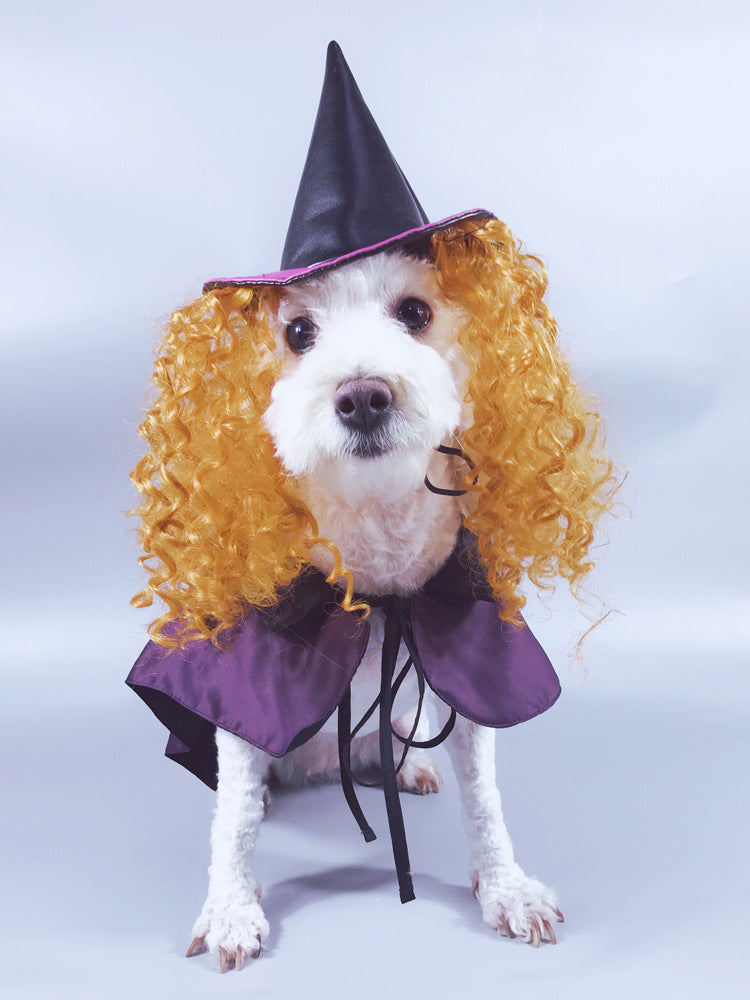 KFX-0132669 Purple Cloak and Hat Pet Costume for Dogs - Halloween Witch Outfit