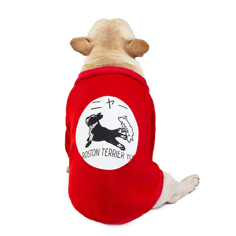 KFX-0139837 Cozy Cotton Winter Sweater for Small and Medium Dogs