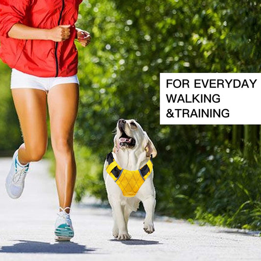 KFX-0141117 Adjustable Waterproof Reflective Dog Vest Harness for Easy No-Pull Control