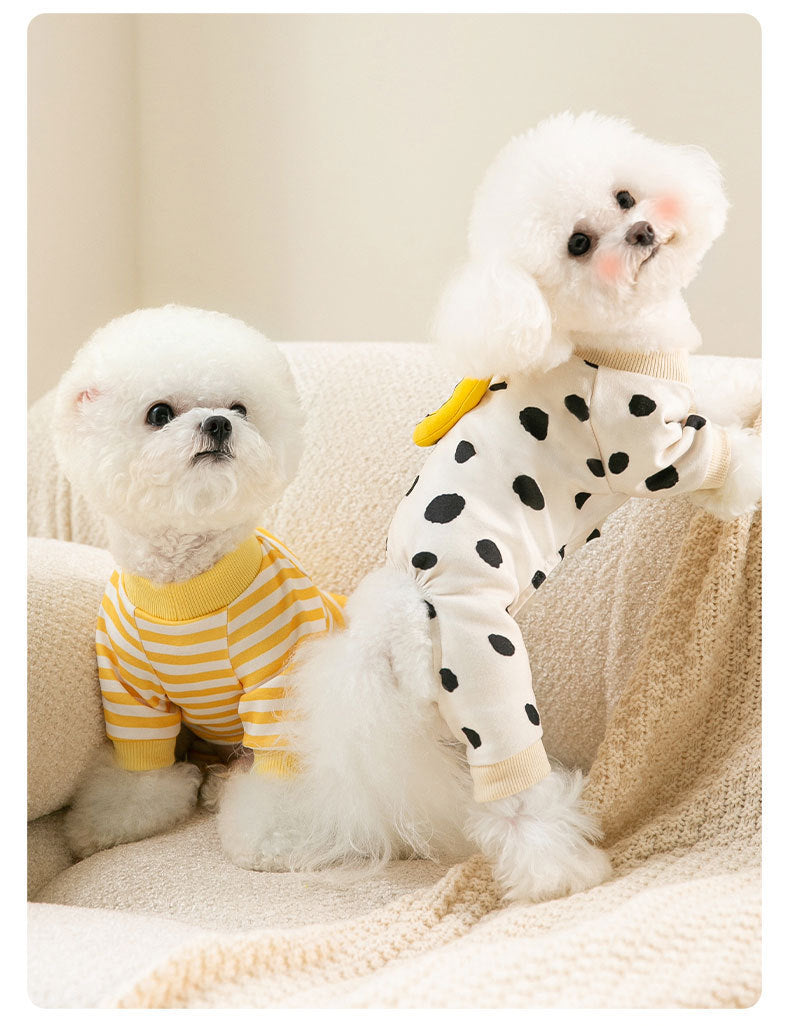 KFX-0145981 Cozy Velvet Cat Clothes in Polka Dot, Striped, and Bear Designs for All Sizes