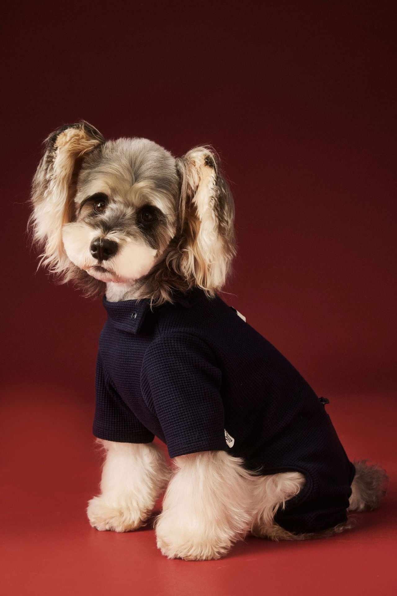 KFX-0152125 Cozy Waffle Four-Legged Pet Clothing for Autumn and Winter in Beige and Navy Blue
