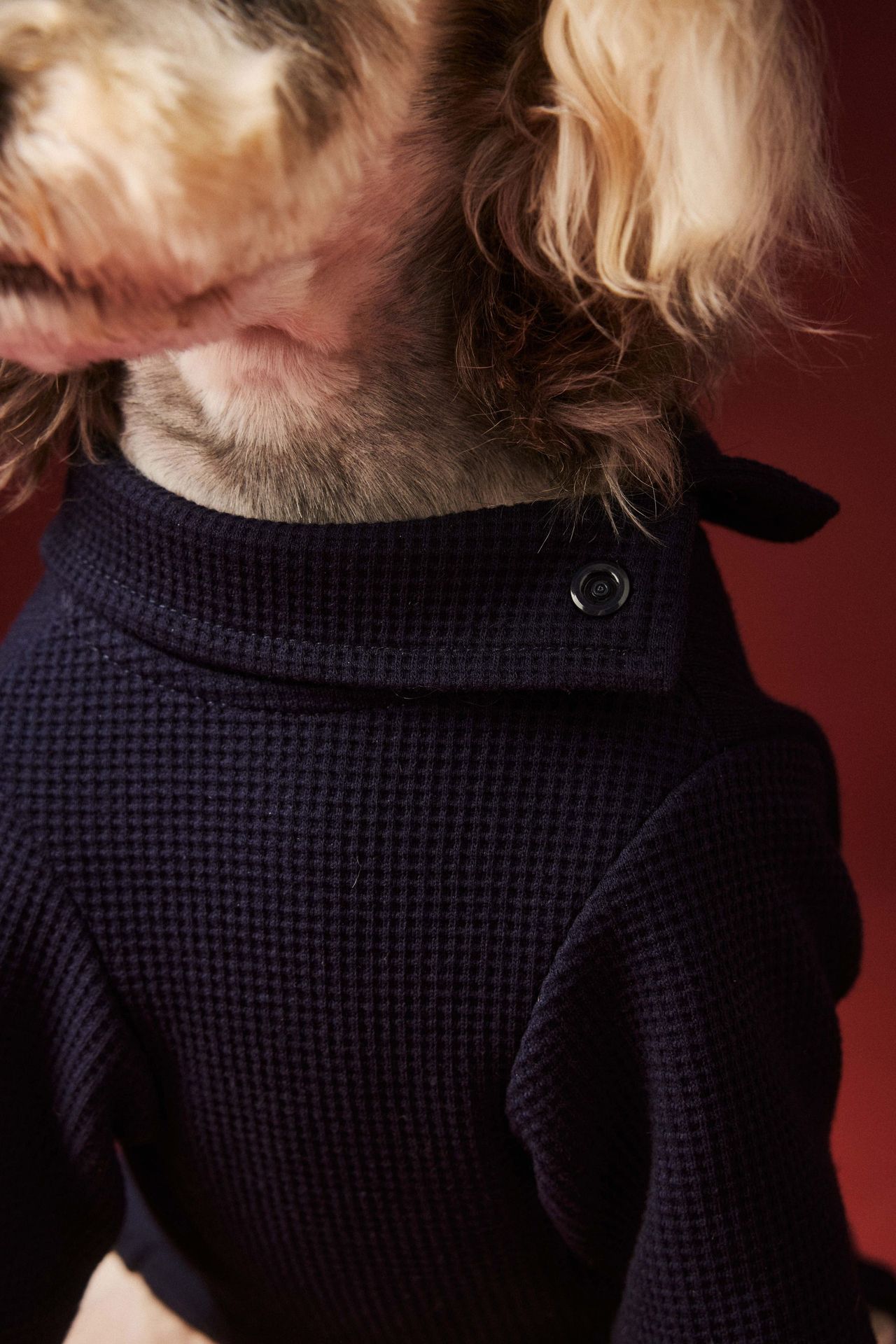 KFX-0152125 Cozy Waffle Four-Legged Pet Clothing for Autumn and Winter in Beige and Navy Blue