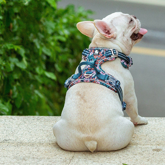 KFX-0152637 Floral Pattern Nylon Dog Leash Vest Harness - Multiple Sizes Available
